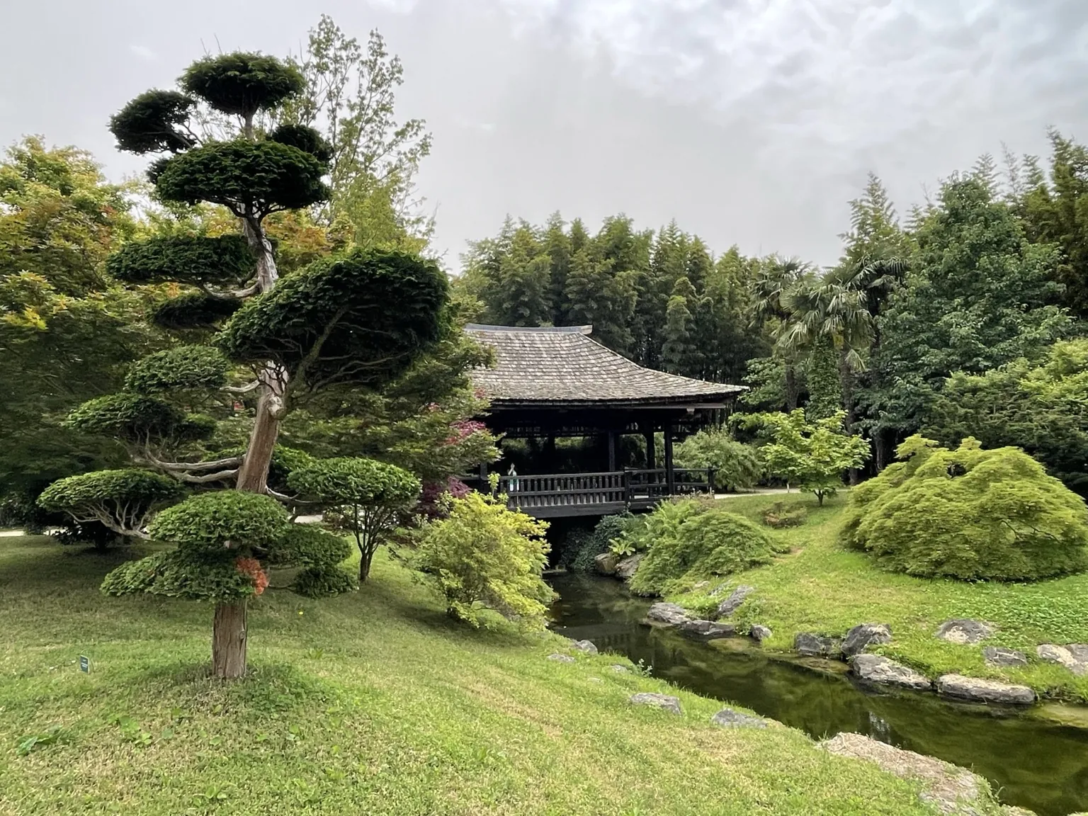 Japanese garden pavilion beside a stream and sculpted trees